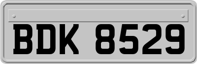 BDK8529