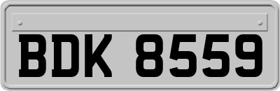 BDK8559