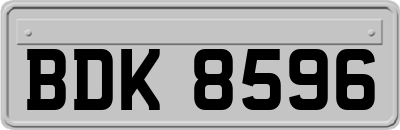 BDK8596