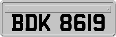 BDK8619