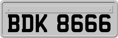 BDK8666