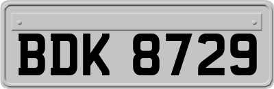BDK8729