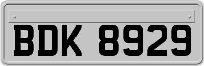 BDK8929