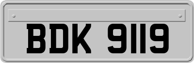 BDK9119