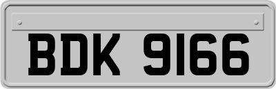 BDK9166