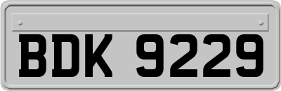 BDK9229