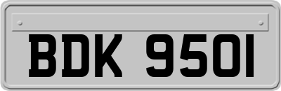 BDK9501