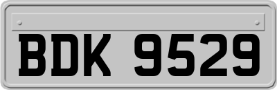 BDK9529