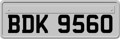 BDK9560