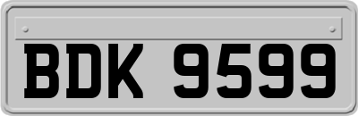 BDK9599
