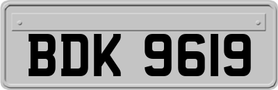 BDK9619