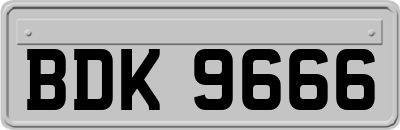 BDK9666