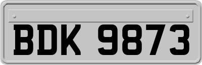 BDK9873