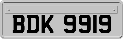 BDK9919