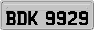 BDK9929