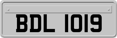 BDL1019