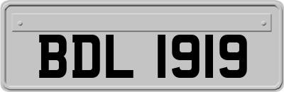 BDL1919