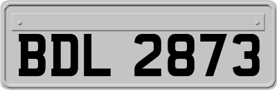 BDL2873
