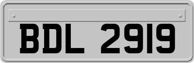 BDL2919