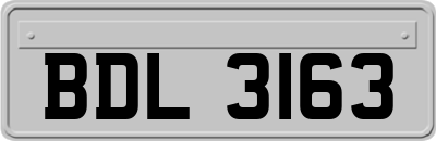 BDL3163