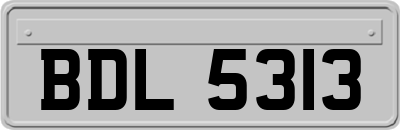 BDL5313