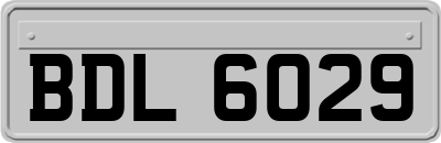BDL6029