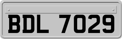 BDL7029