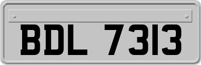 BDL7313