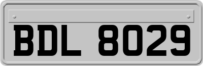 BDL8029