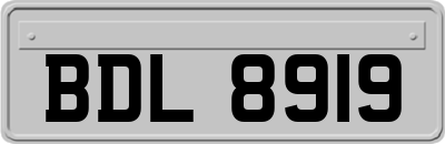 BDL8919