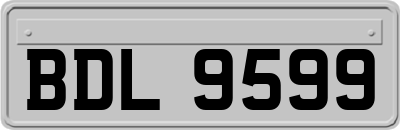 BDL9599