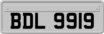 BDL9919