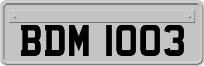 BDM1003