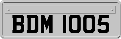 BDM1005