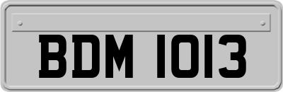BDM1013