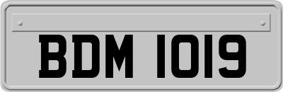 BDM1019