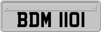 BDM1101