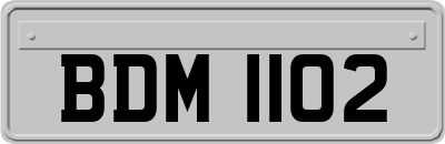 BDM1102