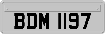 BDM1197