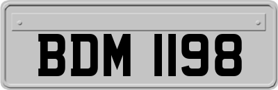 BDM1198
