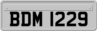 BDM1229