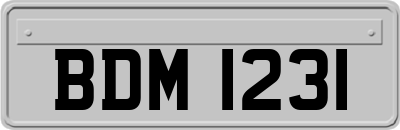 BDM1231