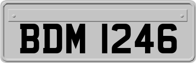 BDM1246
