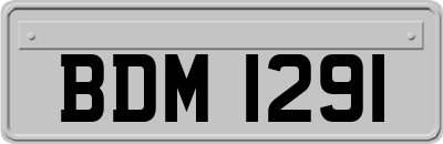 BDM1291