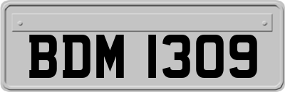 BDM1309