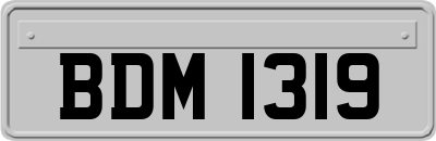 BDM1319