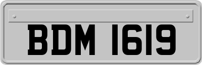 BDM1619
