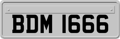 BDM1666