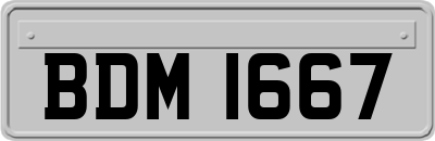 BDM1667