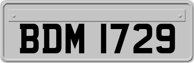 BDM1729